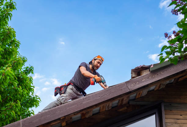 Fast & Reliable Emergency Roof Repairs in Oak View, CA